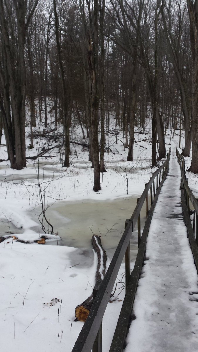 Decided to go for a walk in the <a href="/HRFrinkCentre/">Frink Centre</a> today (should have brought my skates). Ice everywhere- even saw a beaver! #besafeoutthere