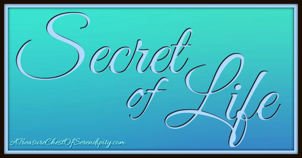 ATCOSerendipity's tweet photo. Secret of Life 
https://t.co/CqRQpx6Le5
#secretoflife #secrettolife #barryzito https://t.co/wRRiBZUFEy