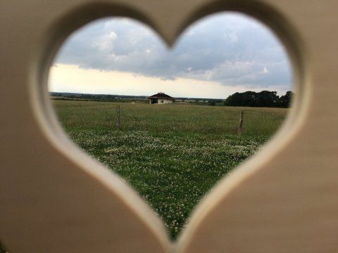 Like yoga? Want to learn more about Permaculture? Interested in sustainable living? buff.ly/2jK23aH #lincolnshire #permculture #yoga