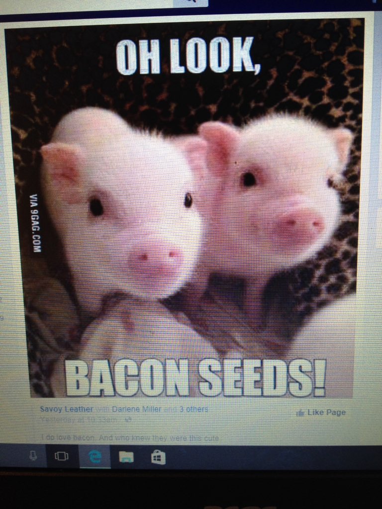 t_olson74's tweet photo. @GingerGeoffery I saw this and immediately thought of you! 😂 https://t.co/1zp504qm7q