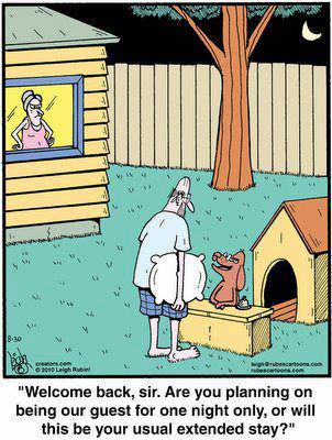 Keep your pets happy and flea free. You never know when you might need them. #doghouse