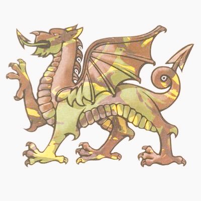 ACFADofEWales's tweet photo. 45 @ACFADofE passes for @160BdeColCdts so far and we're only 3/4 into the season! Well done all @Army_Wales and keep up the fantastic work! https://t.co/GmxMfN0Cuu