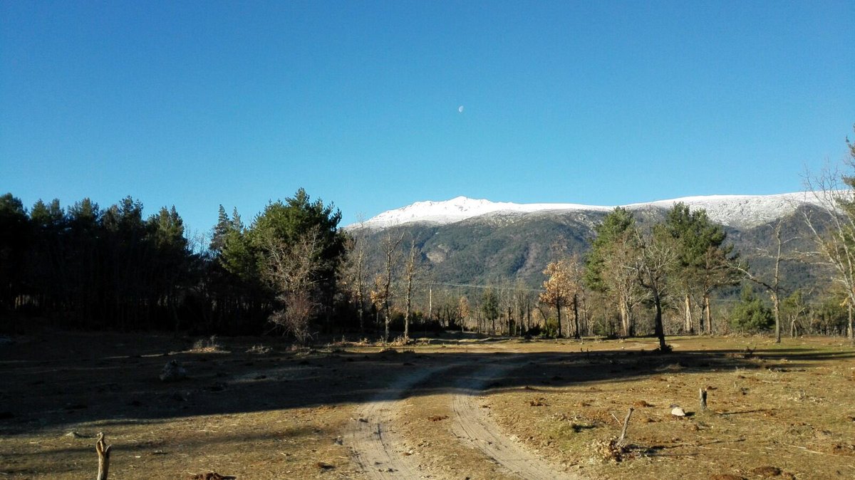 arroyoaguilon's tweet photo. Hoy hemos amanecido con muchísimo frío, rozando los -10 grados, pero con un sol radiante! ☀️ #Rascafría #TurismoRural #SierraNorteDeMadrid https://t.co/jvkrnU6jKP