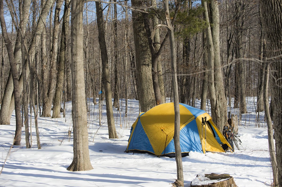 OntarioParks's tweet photo. Put your #camping skills to work in a whole new season! Take our #Winter Camping Workshops: https://t.co/aQUMZQq3pi https://t.co/vmE4y6SC7t