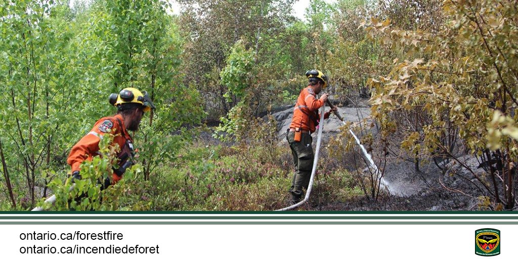 ONforestfires's tweet photo. Looking to become a #FireRanger? Complete the #SP100 training course, the #WFXFit testing and Standard First Aid. https://t.co/rrpQJzKLRV https://t.co/nY8ip97W9h