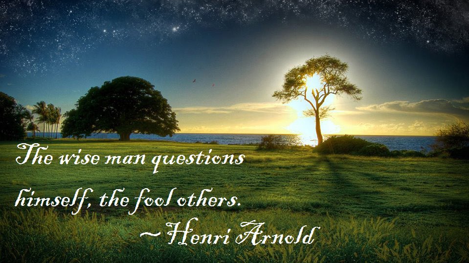 RelentlessDev_'s tweet image. The wise man questions himself, the fool others. ~Henri Arnold