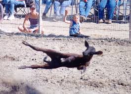 #OpRodeo ...Because NO ONE has the right to abuse #animals for #entertainment
#BanRodeo #BuckTheRodeo
#rodeo is #AnimalCruelty
#ThursdayMorning #AnimalRights #FamilyFun #Tradition #Western #Culture #GoVegan