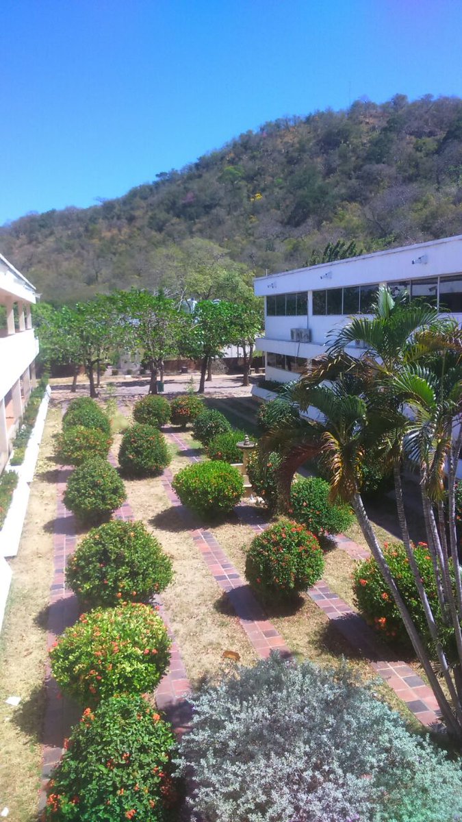 gilmaguzmanc's tweet photo. El mejor colegio del Valle❤😍 #Colsafa https://t.co/GmmbvJ9oYA