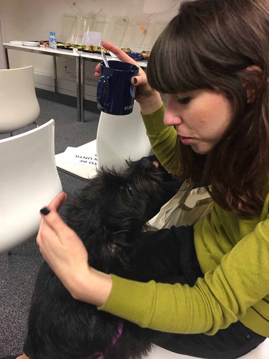 EllipsisAgency's tweet photo. Too much cuteness up at the @CIgroup1 office! Great kick-off meeting today 👍🏻 #design https://t.co/jQNTtpTmIw