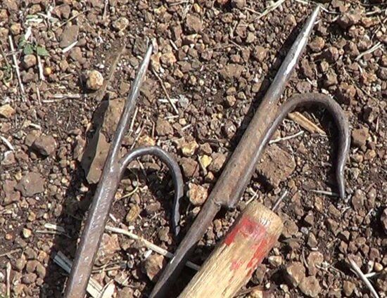 Yangoliatko_'s tweet image. Elephant abuse doesn’t stop after they’re tame, they suffer the use of bull-hooks their whole life. #OpElephant