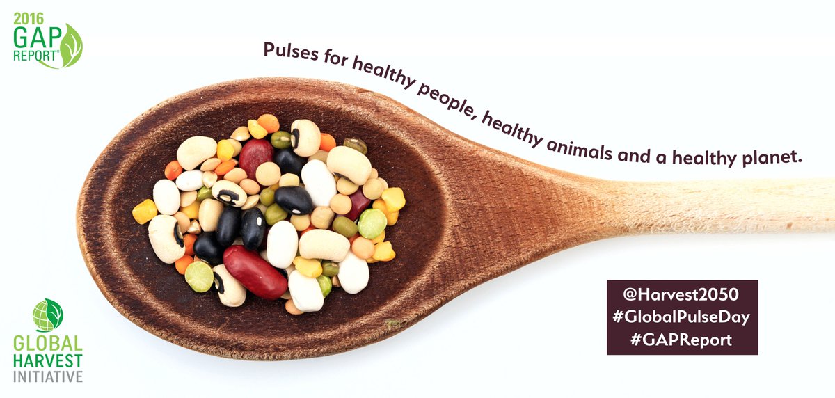 #DYK: #Pulses are an important source of protein & micronutrients like iron, calcium & B-vitamins. goo.gl/xeO5kP #GlobalPulseDay