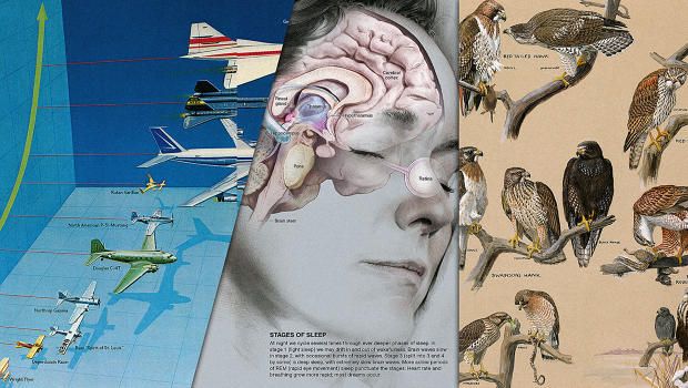 AlkiSurfShop's tweet photo. 100 Years Of #Infographics From #NationalGeographic https://t.co/Qcp4ZpfjlX #NatGeo https://t.co/EHewa2tBch