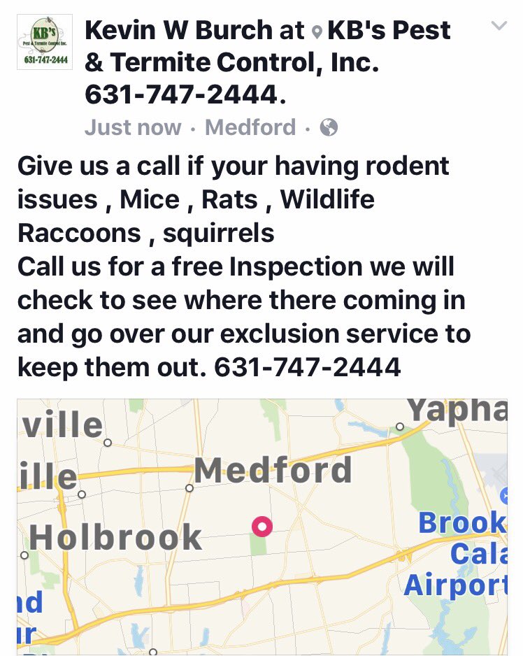 #rats #mice#callKB's