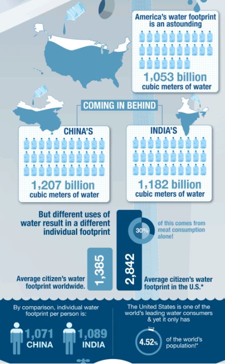 cleanwayusa's tweet photo. Do you know your water footprint? Do the math: https://t.co/RsjeE3zjsL #stormwater https://t.co/XNOlWVCTNO