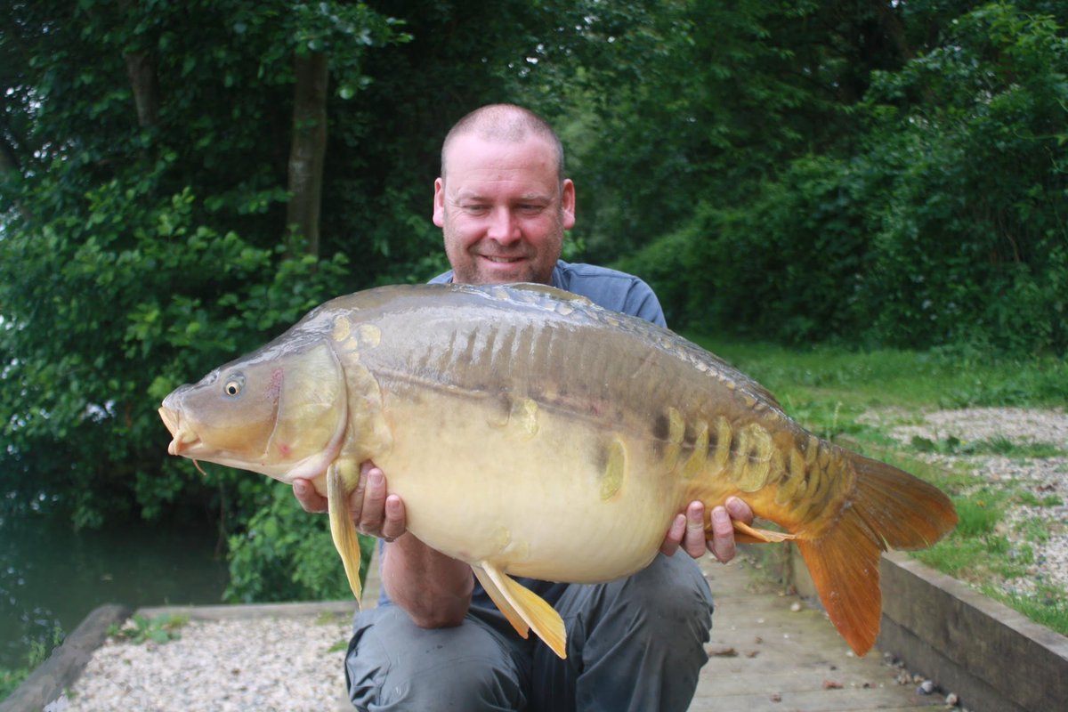 Proper Carp Baits tweet media