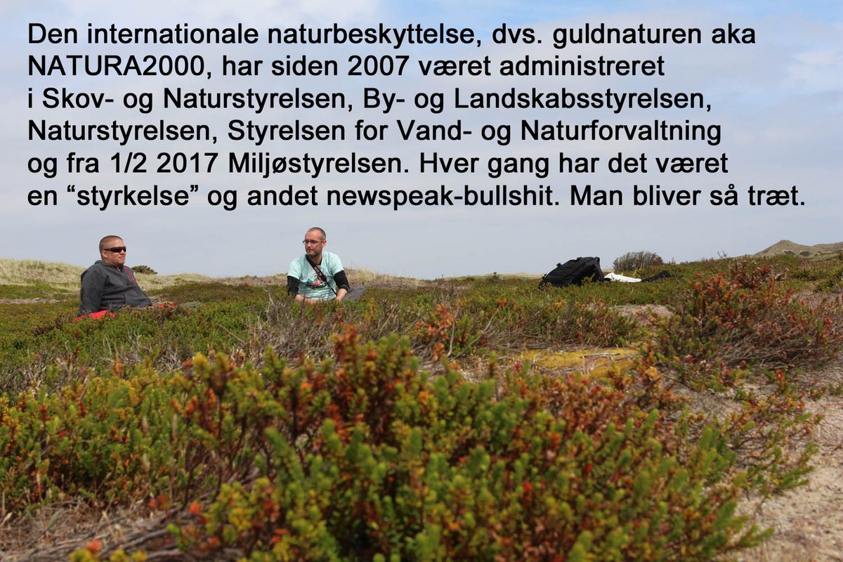 MortenDDHansen's tweet photo. Den danske EU-beskyttede natur er husvild. Skal den mobbes ud, eller har I bare svært ved at beslutte jer? https://t.co/QtSnOt6Bk5 #dknatur https://t.co/YSWyntkgrq