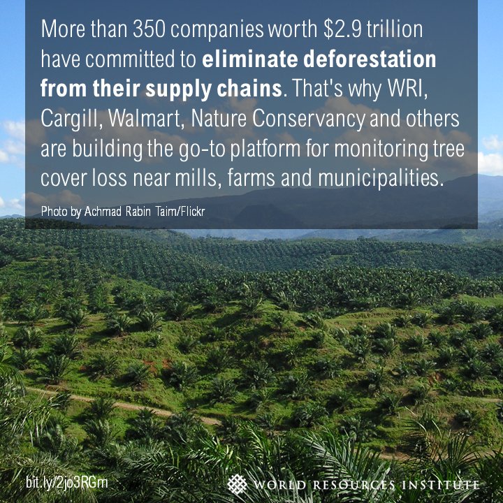 WorldResources's tweet photo. New partnership will help companies meet zero #deforestation commitments
https://t.co/2LqSXslfiN #wef17 @globalforests https://t.co/RhBZ9ZfjI4