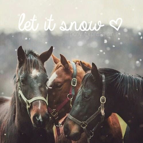 PEGboxes's tweet image. More Snow, less ice! It is far too slippery out there today 
#ponyexpressgirls