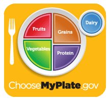 MANNANourishes's tweet photo. @LivingBeyondBC A Healthy plate is MyPlate! Make half your plate fruits & veggies #LBBCChat #transformyourplate https://t.co/hZJGHVPuHd
