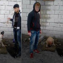 Hayvanlara İşkence Eden Öldüren Canilerin Sayısı Azalmaz Kabahat Değil Suç Olmalı ensonhaber.com/yavru-kopegin-… …
#Hayvanlaraişkenceyehapiscezası