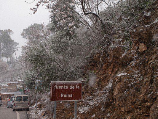 DiarioSUR's tweet photo. #OladefríoMLG | Así estaba la Fuente de la Reina en #Málaga tras la nevada de 2015 (foto JL Escudero @tormentayrayos https://t.co/6lhpMRksg5 https://t.co/5X81JBovXP