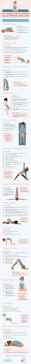 MindfullPhotogr's tweet photo. Looking to improve your yoga posture? Click here: #yoga #Posture #poses #yoyaposes #st https://t.co/L3JGcf0PDs... https://t.co/Zd9f7yVAB3