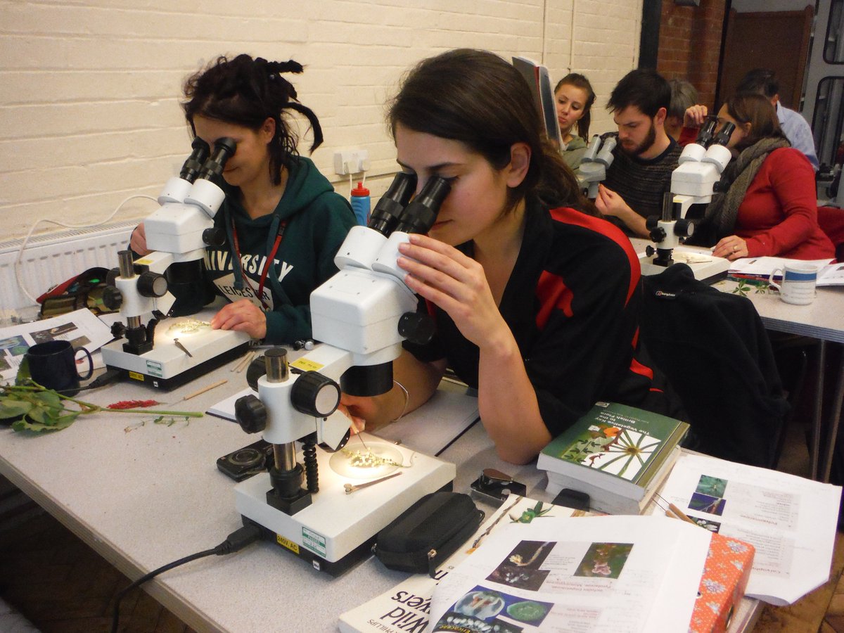 BSBI: Botanical Society of Britain & Ireland tweet media