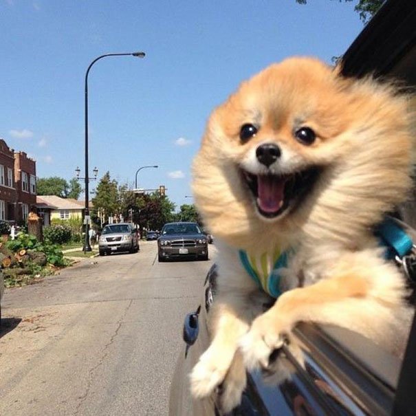 jimmyjohns's tweet photo. Me on my way to Jimmy John’s https://t.co/MVZ4tYAxfI