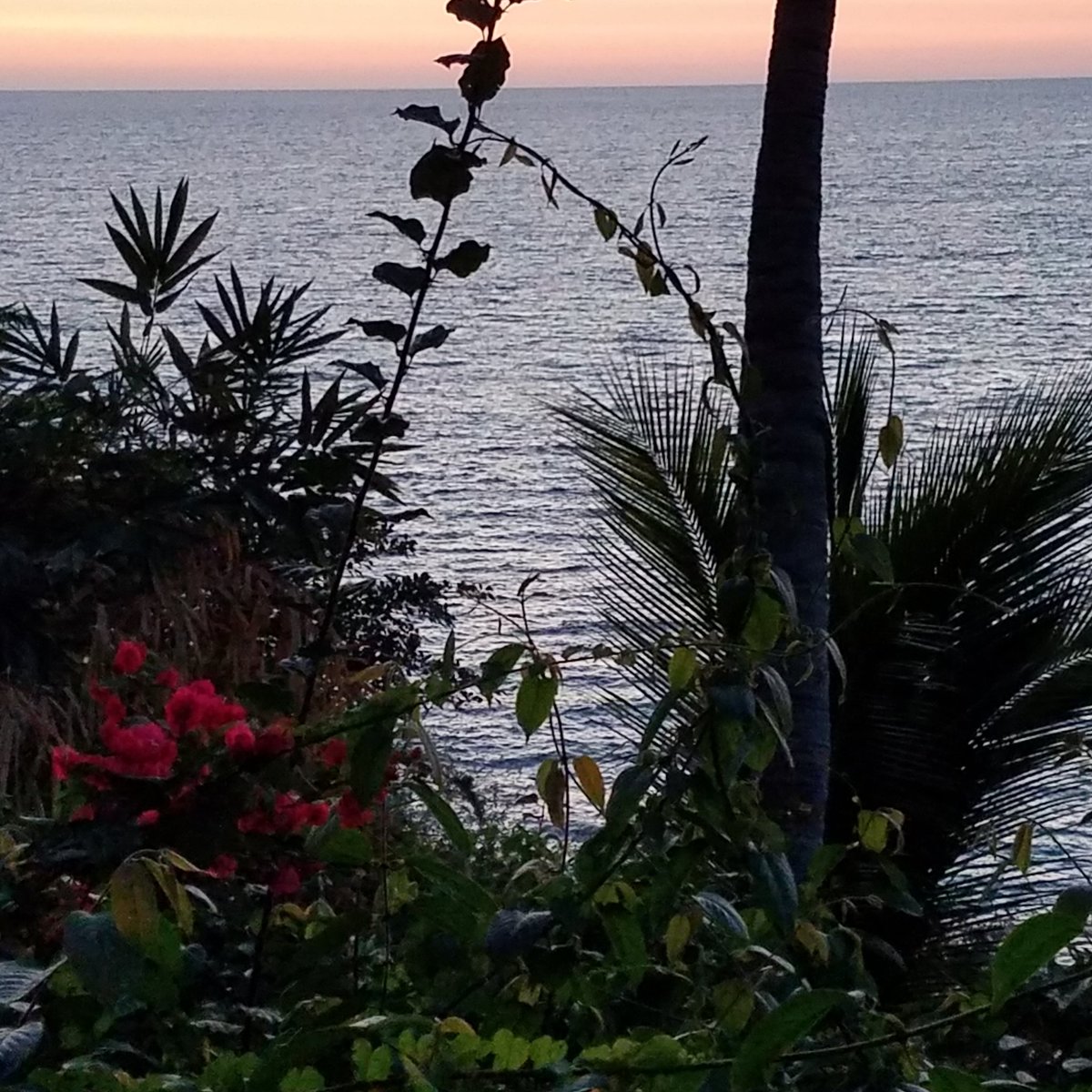 tattedup4me's tweet photo. Another day in paradise #PuertoEscondido #ocean #sunset #hiddenport #beautiful https://t.co/ojWm5n6S20