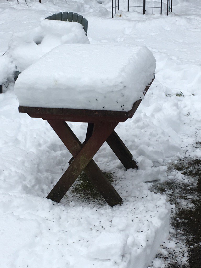 BethHyams's tweet photo. Picnic table pileup as of yesterday. Will it #melt by tonight? #snowpdx https://t.co/BJkqQriN3F