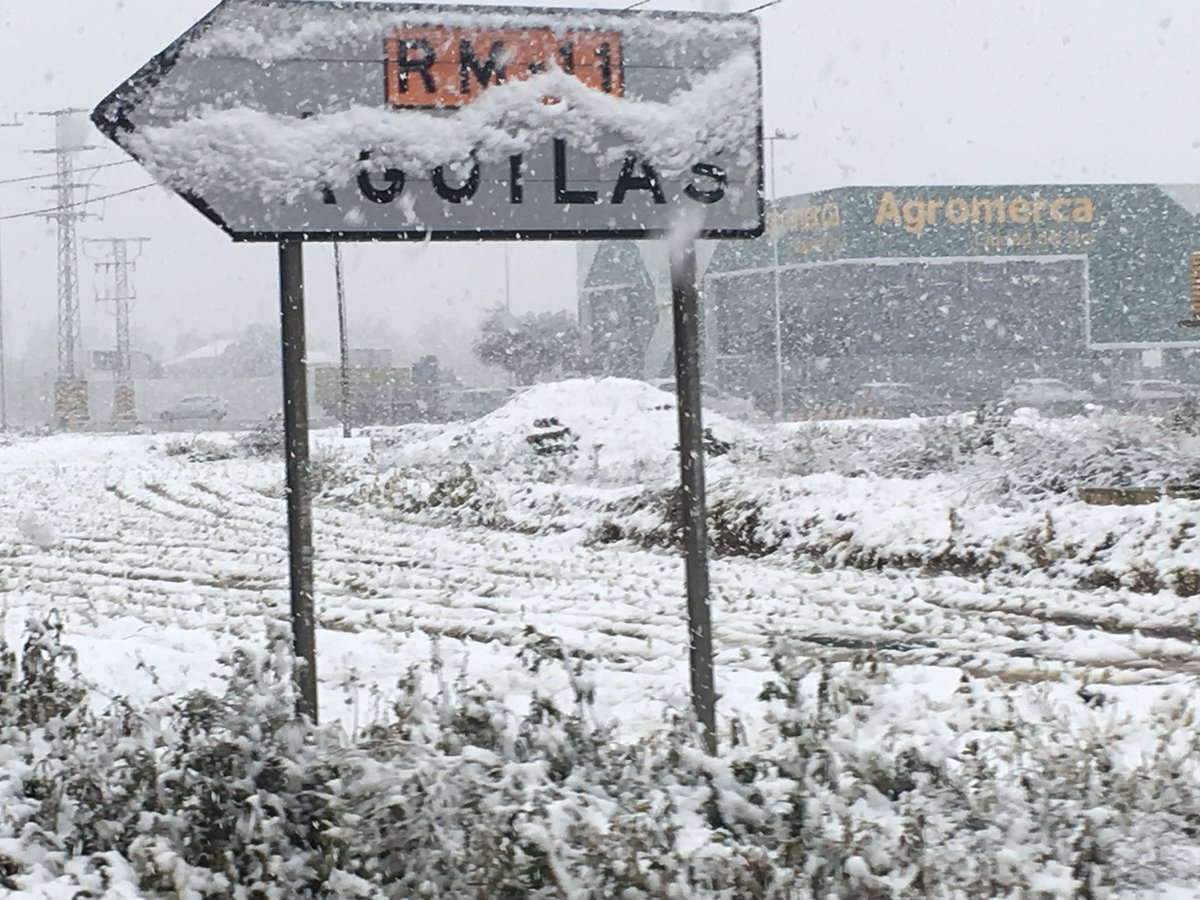 #OlaDeFrioPolar Purias (LORCA)