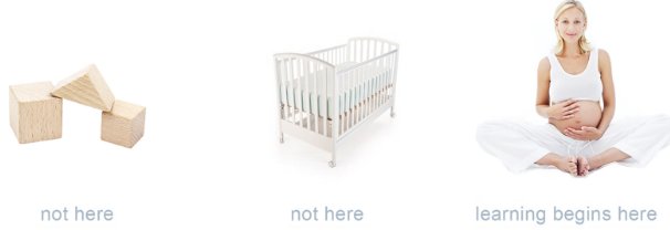 babyplususa's tweet photo. Where does learning begin? #BabyPlus knows. #pregnancy #expectingmoms https://t.co/2OhZ663F1D