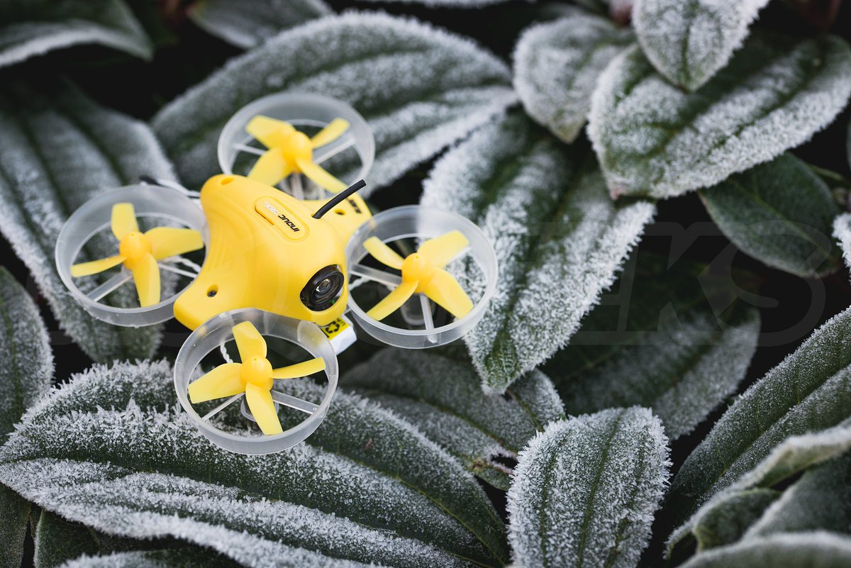 TheRCGeeks's tweet image. Whoop there it is! We&apos;ve had some chilly mornings, but if the sun&apos;s out, so is our #BladeInductrix get yours here: goo.gl/fQl1N2