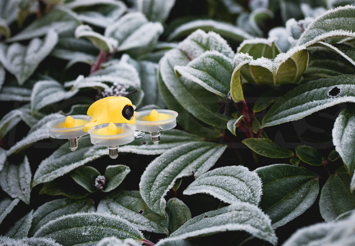 TheRCGeeks's tweet image. Whoop there it is! We&apos;ve had some chilly mornings, but if the sun&apos;s out, so is our #BladeInductrix get yours here: goo.gl/fQl1N2