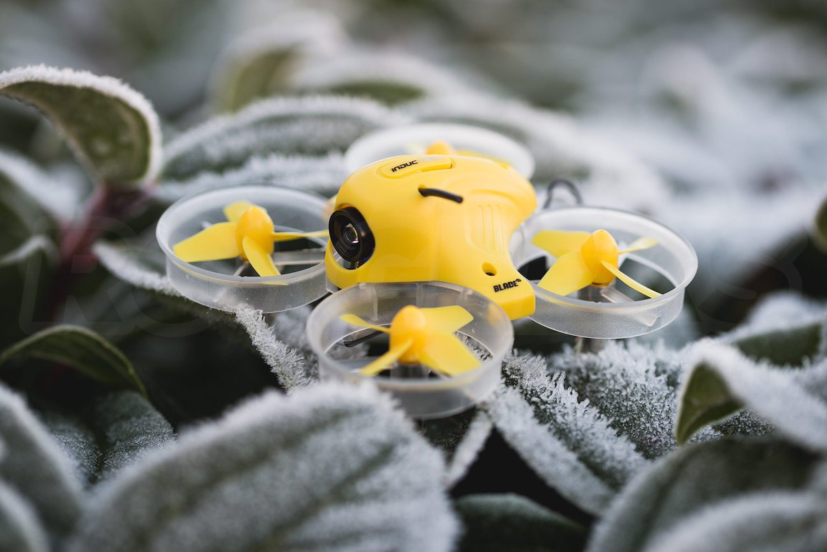 TheRCGeeks's tweet image. Whoop there it is! We&apos;ve had some chilly mornings, but if the sun&apos;s out, so is our #BladeInductrix get yours here: goo.gl/fQl1N2