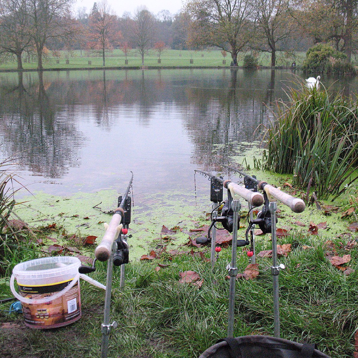 EEStvblogs's tweet photo. It's all about the #perch 🎣 #perchfishing #angling #fishing #winter #thatscarpy #longleat https://t.co/OUAow3bE2q