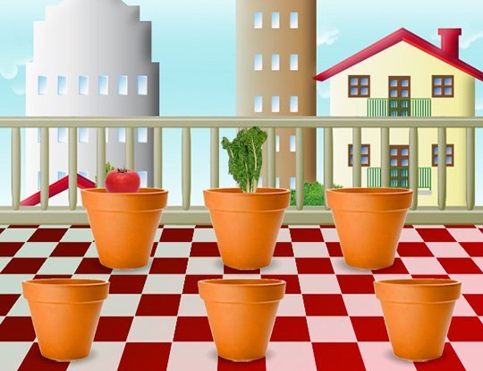 giusyspagna's tweet photo. Io coltivo il mio orto sul terrazzo con Grow the Planet @growtheplanet  - https://t.co/VoxqSGHRFv https://t.co/jgtjfqOWof