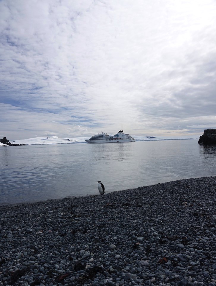 Herb Greenberg (herbgreenberg) Twitter