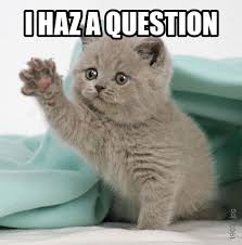 I'm taking cat questions live on #NationalAnswerYourCatsQuestionDay on Sunday, January 22, 1PM/EST? Facebook LIVE chat.