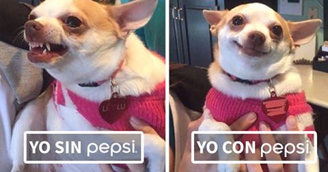PepsiPuertoRico's tweet photo. Cosas que pasan ;) #ViveHoy https://t.co/yh45jW3NFN