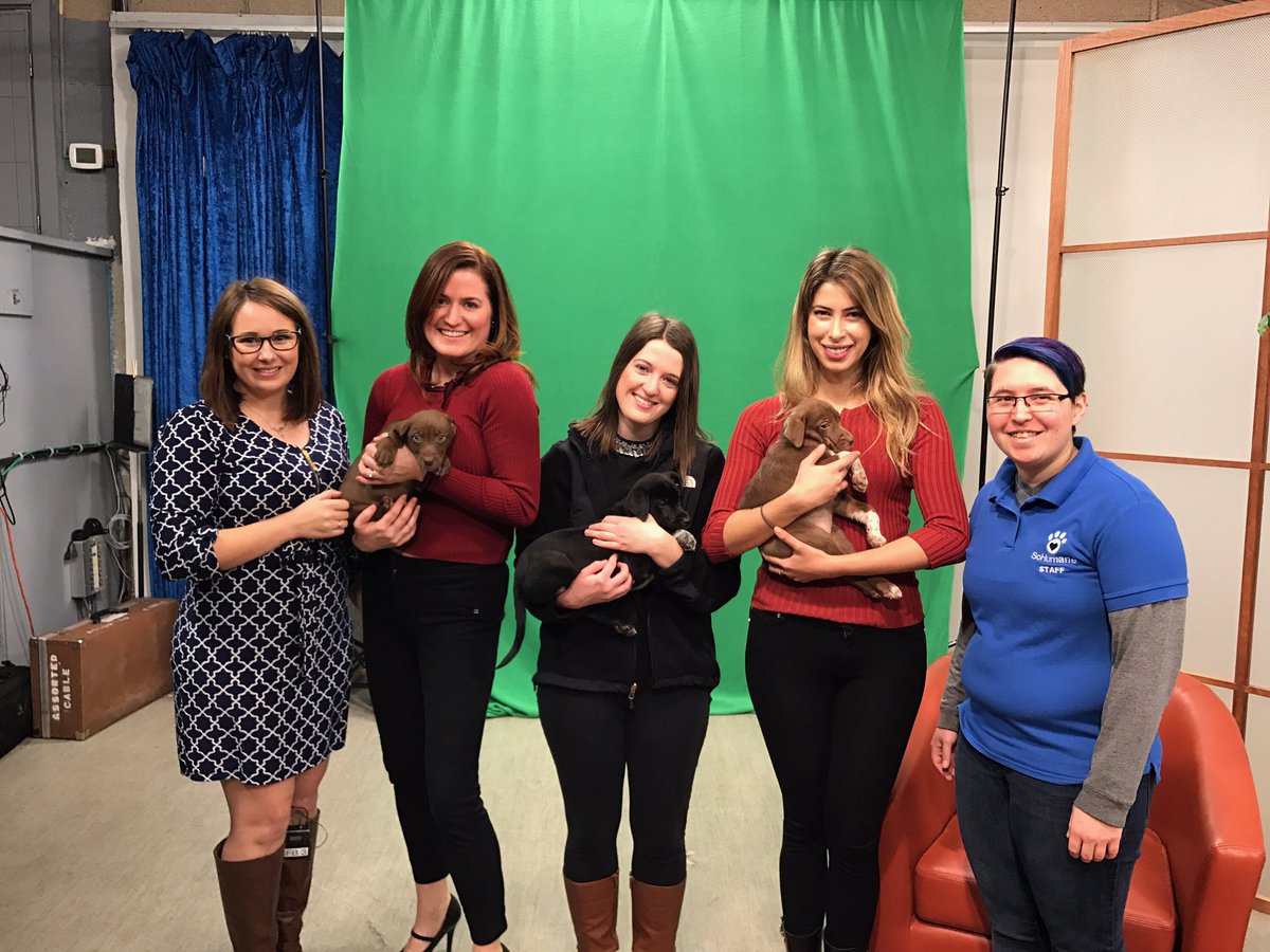 SoHumane tweet media