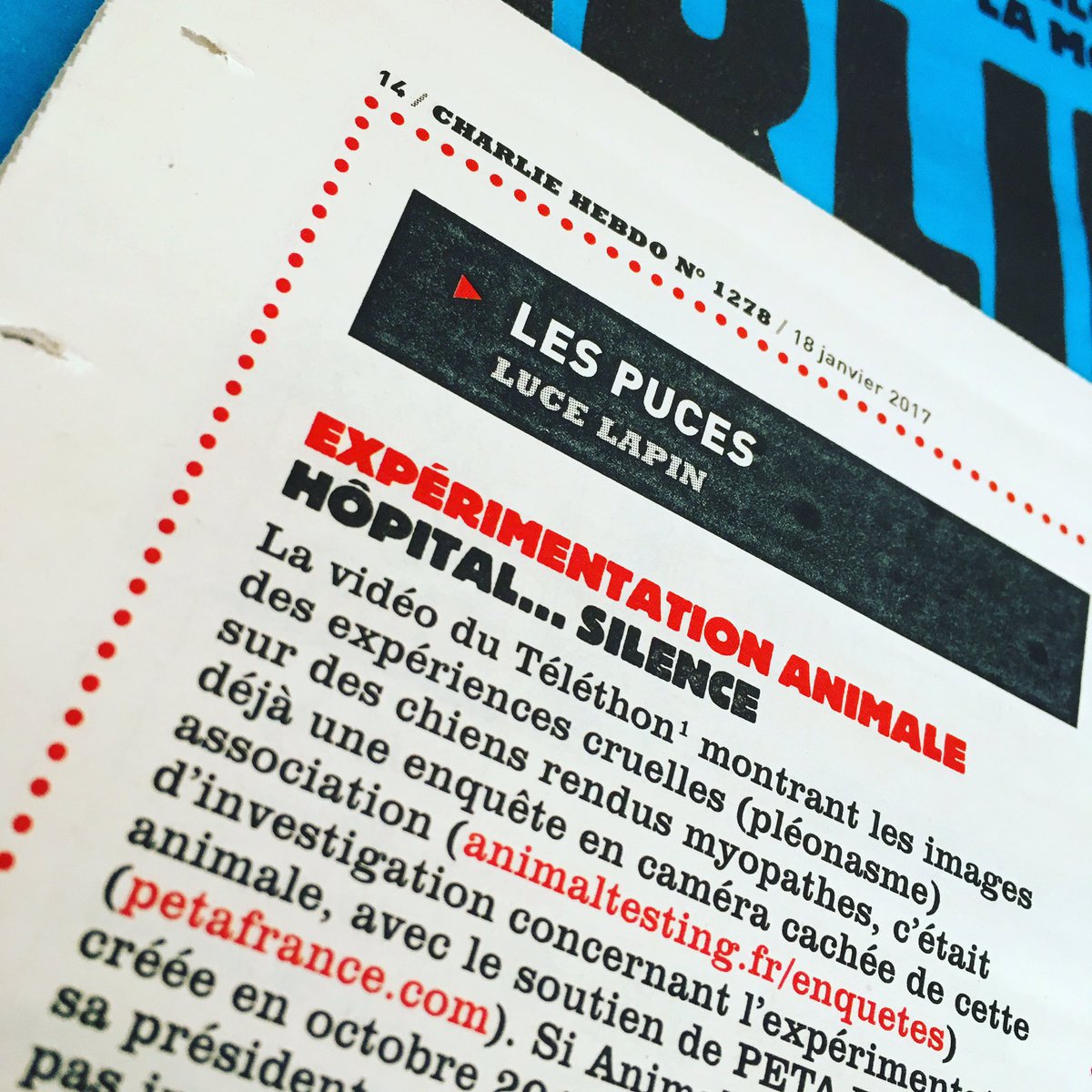 AnimalTestingFR's tweet photo. Qui ignore encore que des singes subissent des expériences en plein Paris ? Merci #charliehebdo @PucesLapin 👊🏻🐒 #SingesLabo #science https://t.co/1eVmsVcs3S