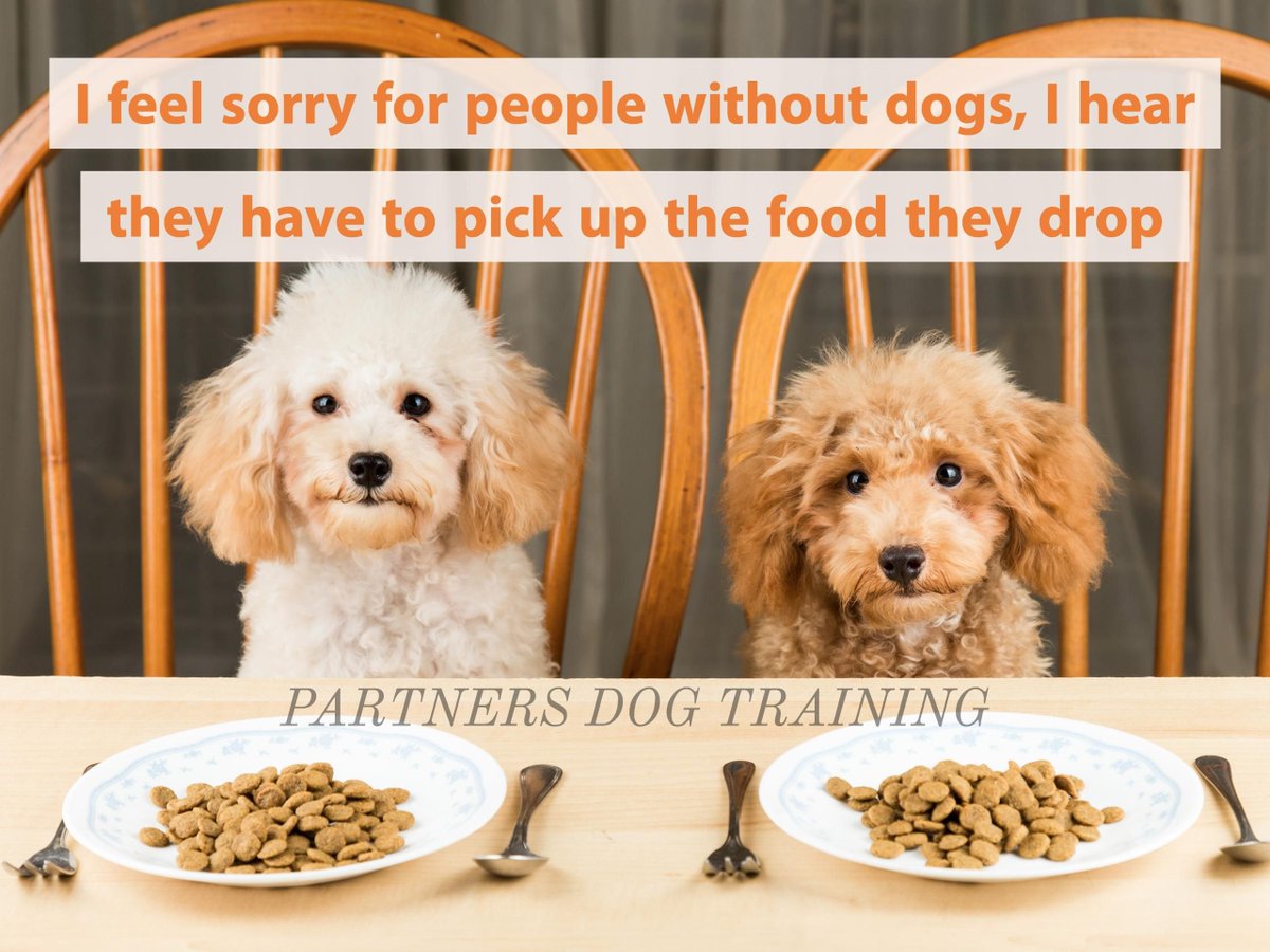 partnersdogs's tweet photo. RT if you can relate
#doggievacuum https://t.co/9saLd7Tp77