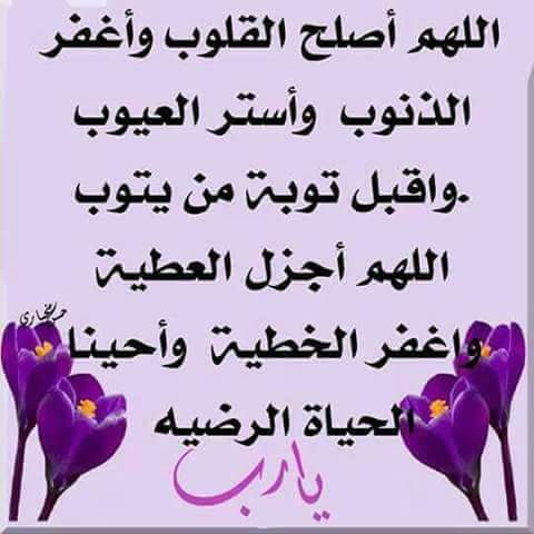 fb934bc70d7a41a's tweet photo. اسعد الله بكل مسائكم جميعا اخواني الاعزاء https://t.co/Xo7hQZVyrA