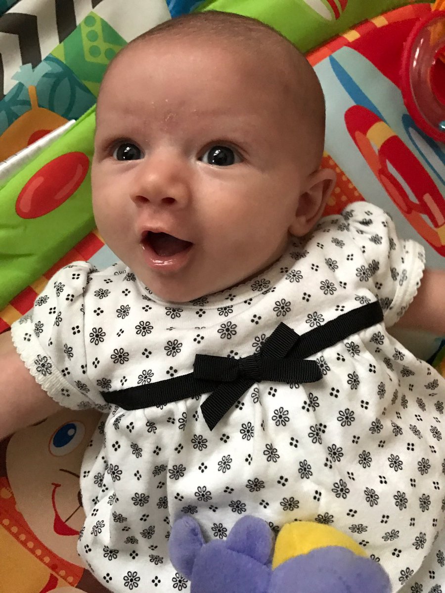 Alex_Matuszak's tweet photo. I seriously have the most adorable baby in the entire world😭💕 gotta love when my mom sends me photos when I'm in class https://t.co/T3ZC4FOCio
