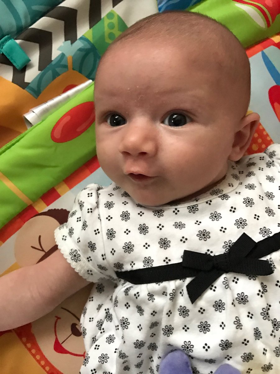 Alex_Matuszak's tweet photo. I seriously have the most adorable baby in the entire world😭💕 gotta love when my mom sends me photos when I'm in class https://t.co/T3ZC4FOCio