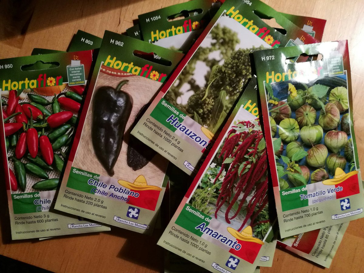 realfoodorelse's tweet photo. Time to sow some seeds! #growmexicanfood #urbangardening #foodprepper #loveseeds https://t.co/MOLbjtsMwE