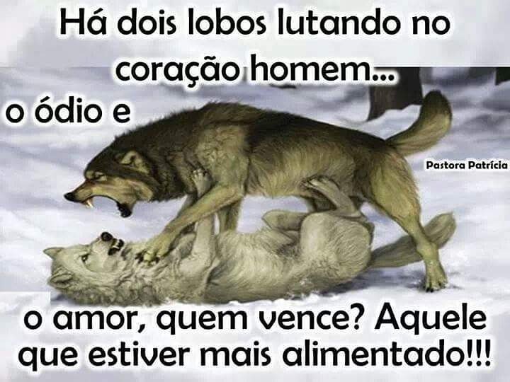 RobertaCVReis's tweet photo. Boa noite Betas 😘🌃 #timbetalab #timBETA #TimBetaAjudaTimBeta #OperacaoBetaLab #BetaAjudaBeta #betaseguebeta https://t.co/2ChYr3y3Fq