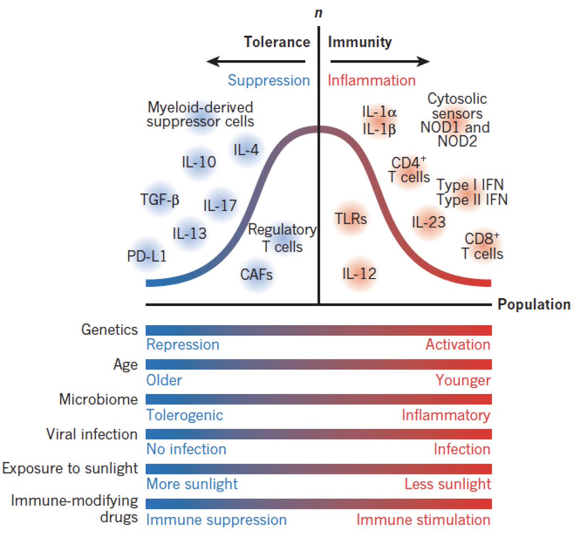 EricTopol's tweet photo. The individual's immunome in #cancer —"the cancer-immune set point"—
great review @nature https://t.co/7g1qyarUdW https://t.co/vPyCdOAWU0