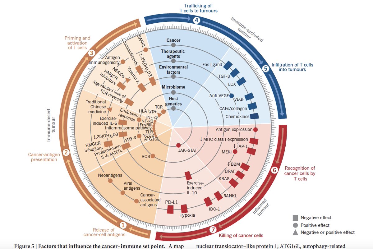 EricTopol's tweet photo. The individual's immunome in #cancer —"the cancer-immune set point"—
great review @nature https://t.co/7g1qyarUdW https://t.co/vPyCdOAWU0